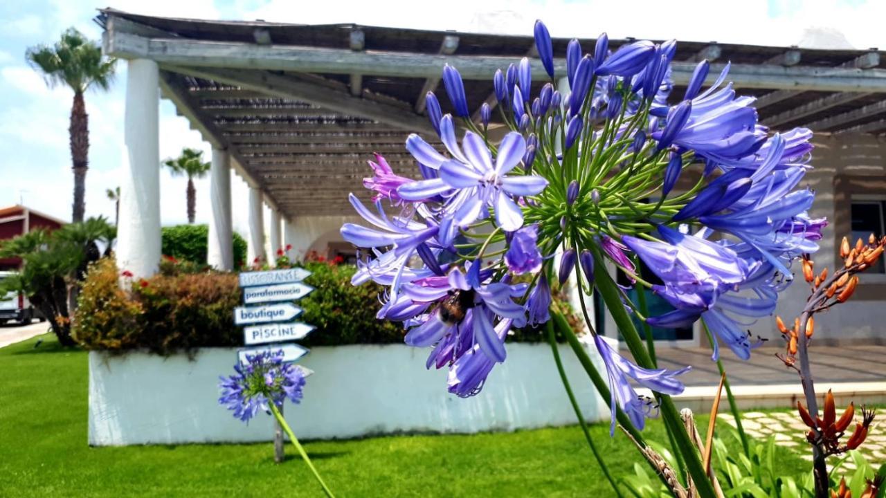 Blue Marine Apartment Pozzallo Ngoại thất bức ảnh